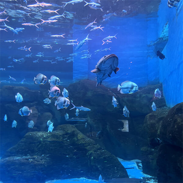 Show off Your Aquarium In a Large Acrylic Tank