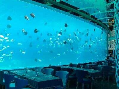 Is anw Underater Restaurant Project the ultimate attraction for your resort