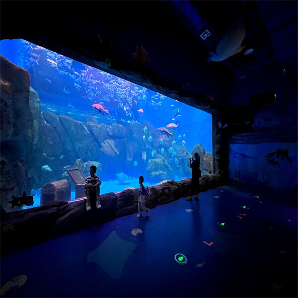 How Acrylic Sheets Can Transform Your Aquarium Experience/ 