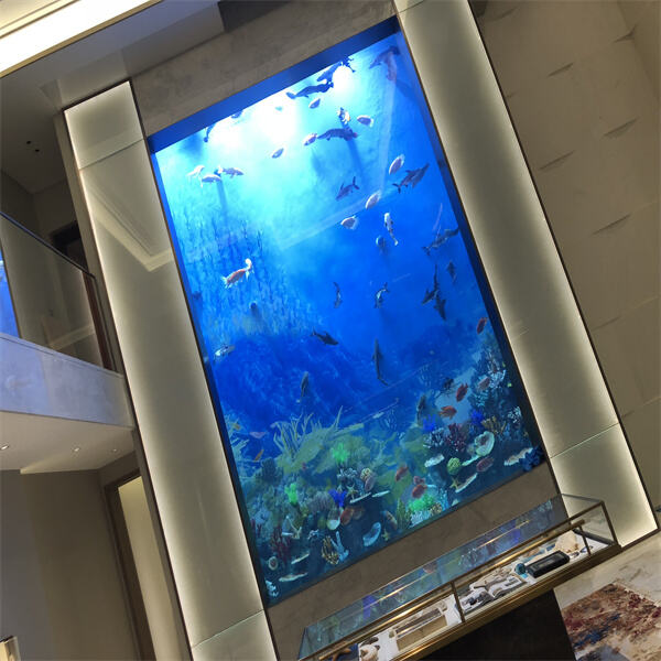 Level Up Your Aquatic Hobby with Our Big Aquarium Tank Selection