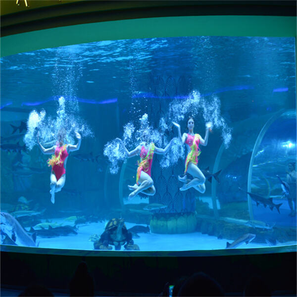 إنشاء نظام بيئي مزدهر