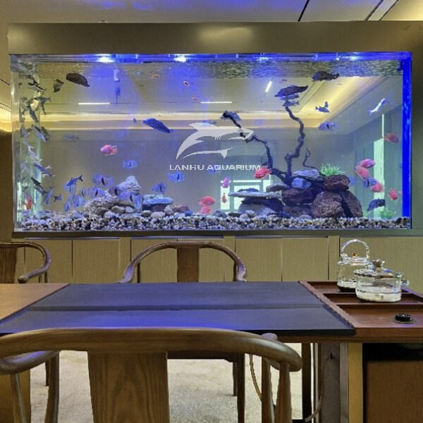 Transform Your Water Tank with High-Quality Acrylic Panels