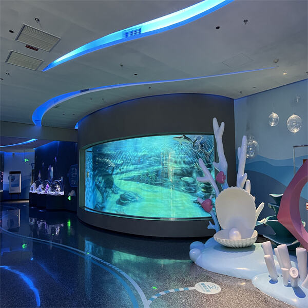 How To Care For A Cylinder Shape Aquarium