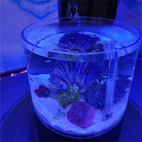 Unlock the Secrets of a Beautiful and Vibrant Large Goldfish Aquarium