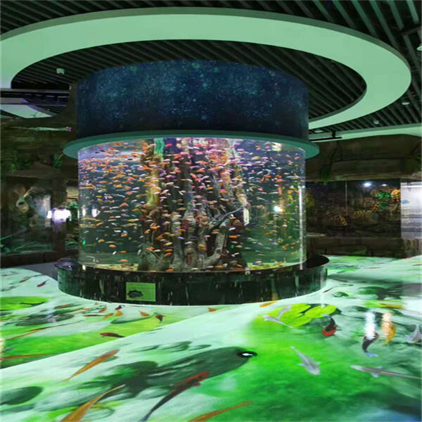 Transform Your Space with a Showstopping Fish Tank