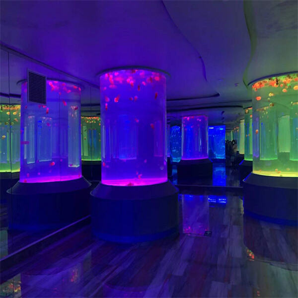 Transform your living space with the modern elegance of a cylinder acrylic aquarium.