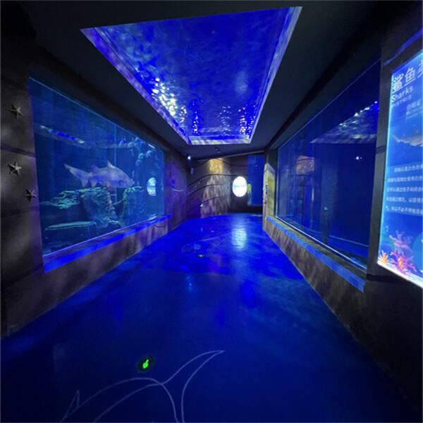 Ein faszinierender Anblick aquatischer Schönheit