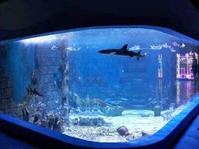 大型アクリル水槽パネルの輸送および設置におけるリスクの軽減