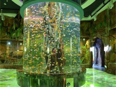 How We Engineer Underwater Restaurant Projects for Safety and Style