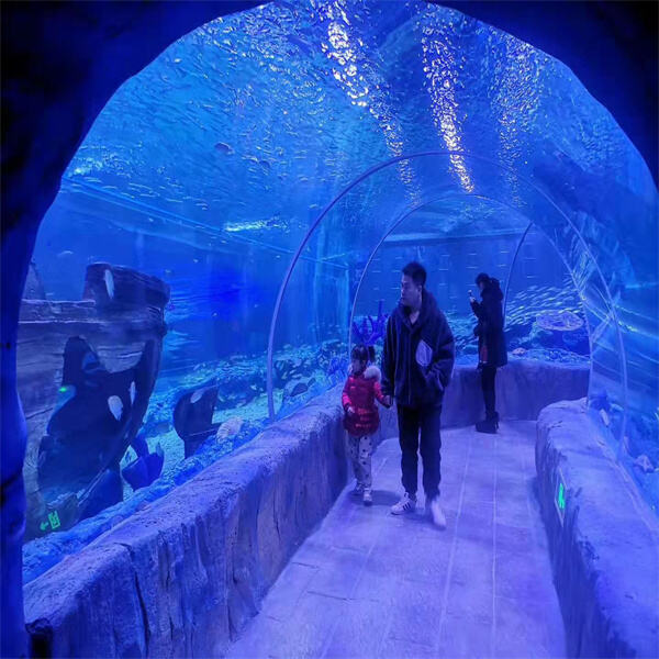 Tunnel Aquariums: Immersive Features