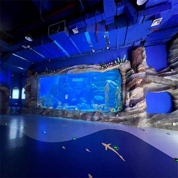 Experience the beauty of underwater life in your own home