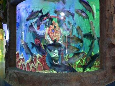 Why a Custom Acrylic Aquarium is a Powerful Branding Tool for Your Business