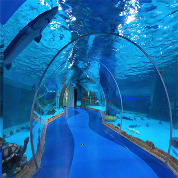 Add a touch of elegance and style to your home with our acrylic fish tanks