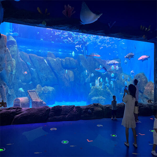 The Pros and Cons of Acrylic Sheets in Fish Tank Design