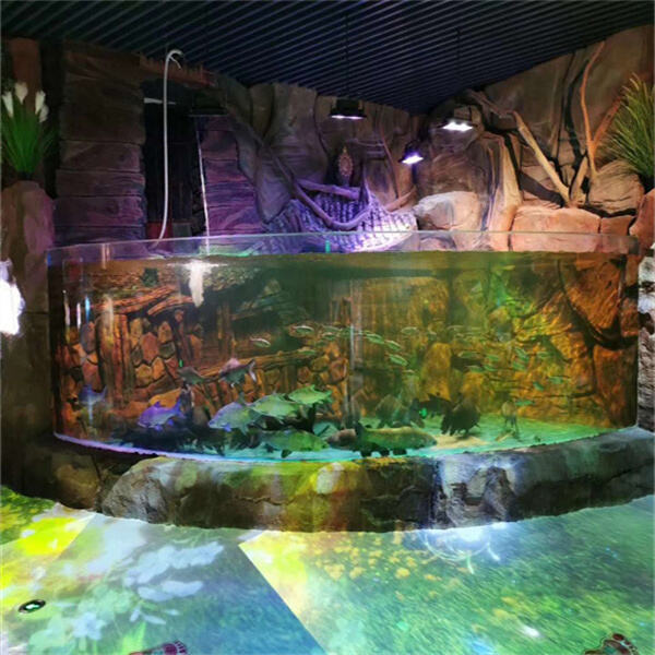 APPLICATIONS OF FRESHWATER AQUARIUM FOR FISHES: