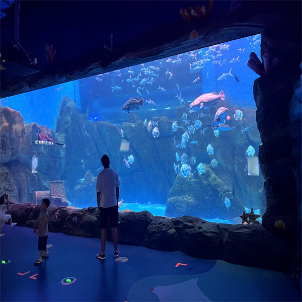 Bring the ocean to your home or office with a spacious acrylic fish tank 