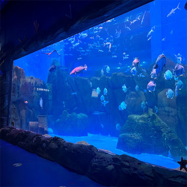 Experience the Joy of Owning an Extra Large Fish Tank Aquarium