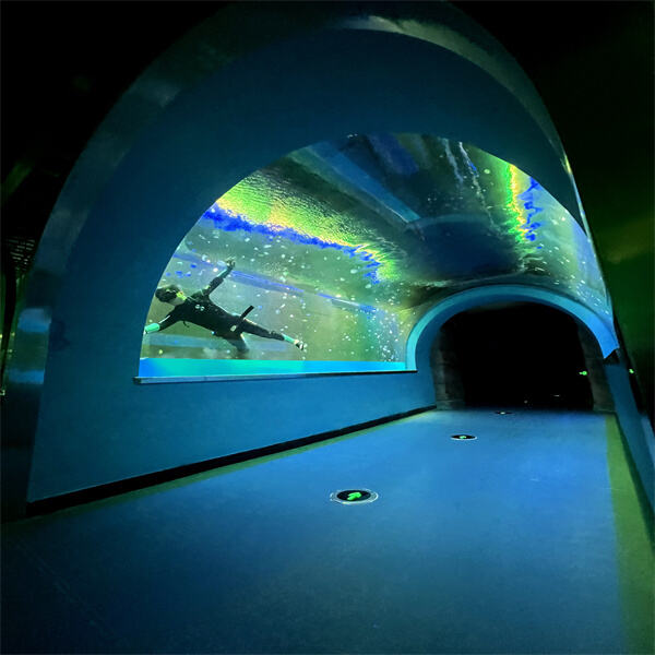 Experience Underwater Life in a Whole New Way