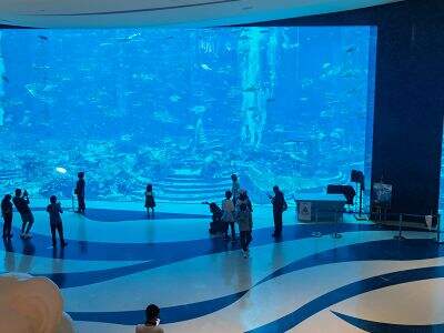 How to budget for a landmark Custom Acrylic Aquarium installation