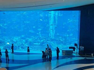 Large acrylic aquarium is the best option to add attractions for hotels