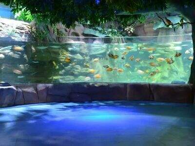 The unseen details that make a Custom Acrylic Aquarium truly spectacular