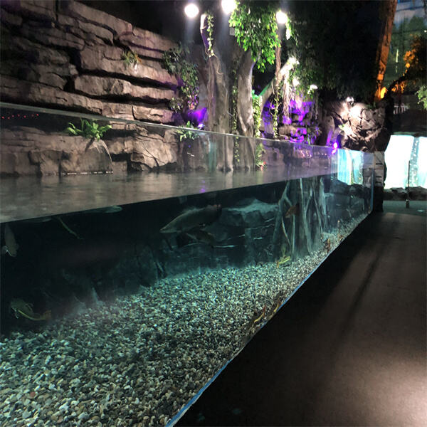 Diverse Utilization of Fish Tanks: