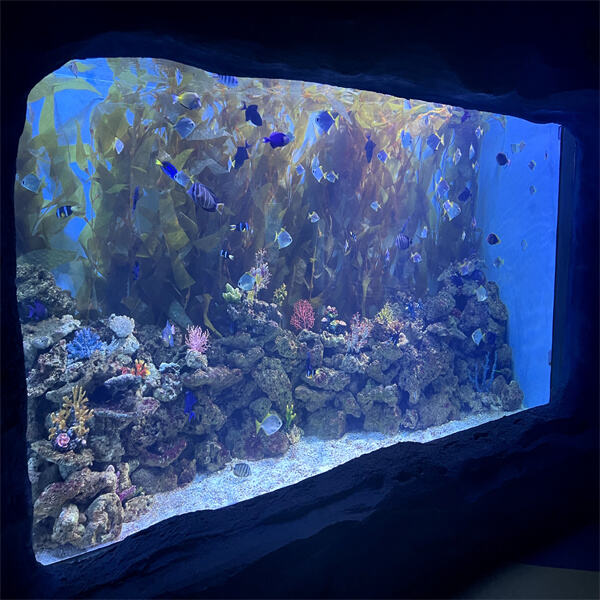Factors Affecting the Cost of a Saltwater Aquarium