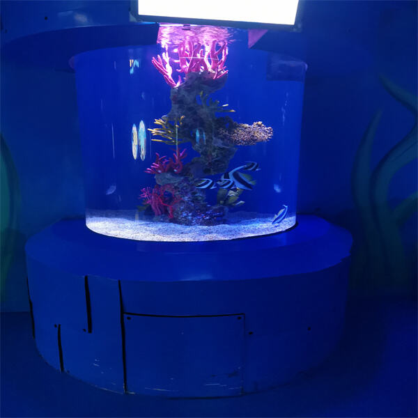 Why Use Custom Cylinder Aquarium?