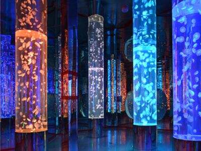 Wat zijn de elektrische veiligheidsnormen voor een groot acrylaquarium