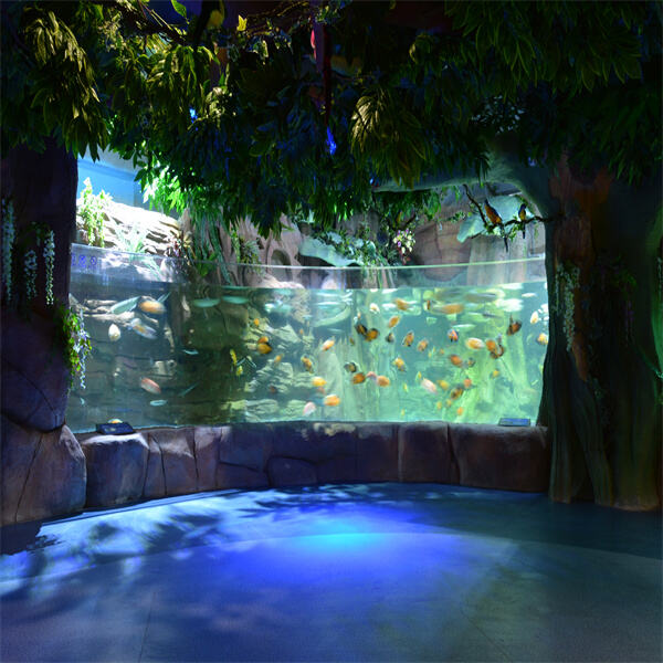 Benefits of Acrylic Aquarium Fish Tanks Vs Glass