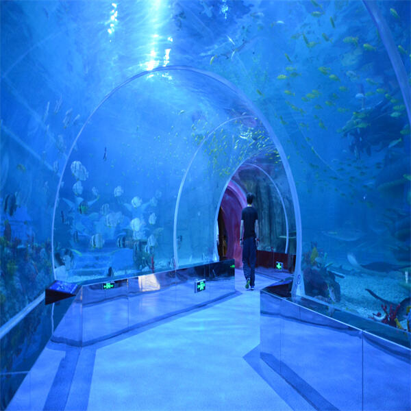 Cool Underwater Aquarium Tunnels to visit