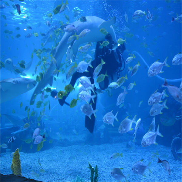 The mammoth freshwater aquarium