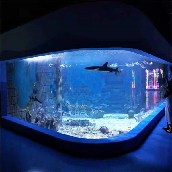 Build an Exquisite Aquarium with Acrylic Customization Services