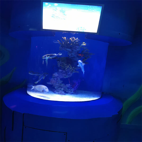 Custom Design: OEM Cylinder Aquarium Experience Serenity and Beauty