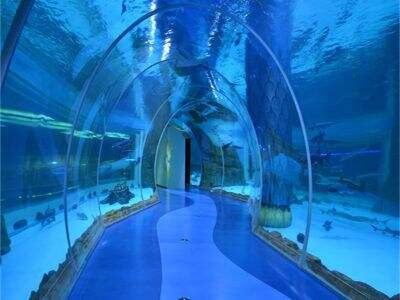 Why seamless bonding is superior for high pressure aquarium tunnel sections