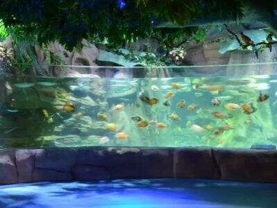 Which aquarium manufacturer is the best?