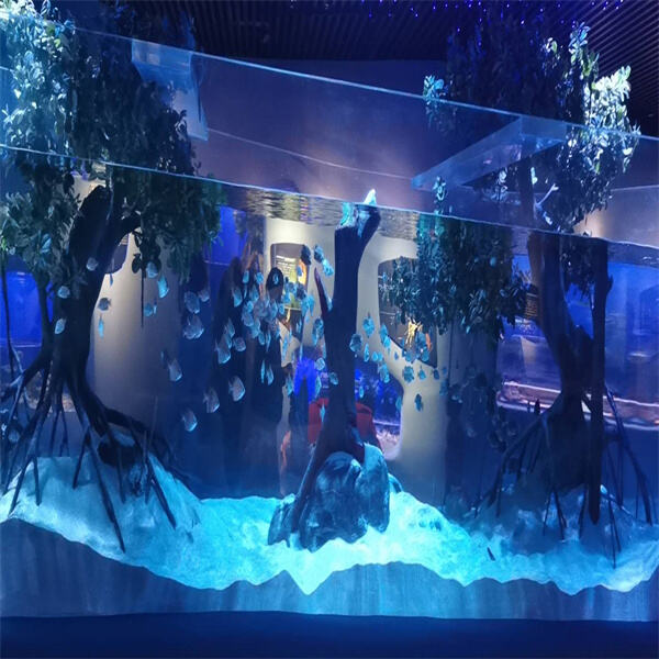 لماذا الاكريليك هو الخيار الأفضل لخزانات الأسماك المخصصة