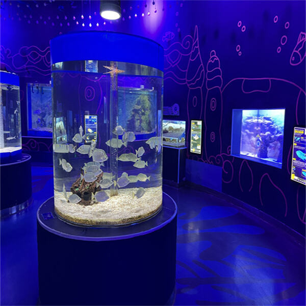 Entdecke die Biodiversität einer Unterwasserwelt