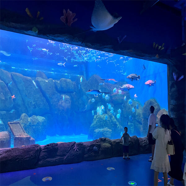 Transform your space with a statement-making acrylic fish tank