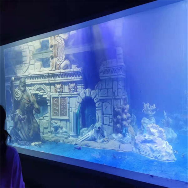 How to take care for freshwater fish aquariums