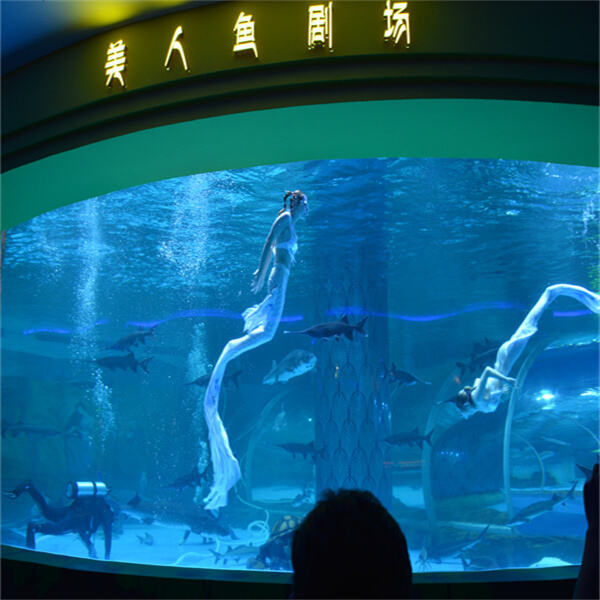 Awe-Inspiring Sights and Sounds
