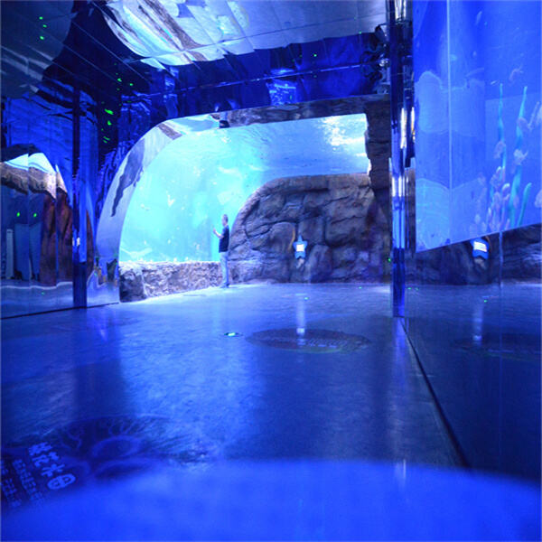 Find the Perfect Big Aquarium for Your Home at These Stores