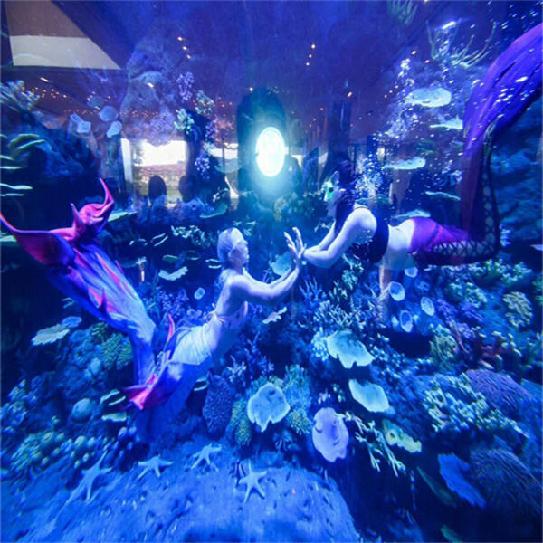 Finding the Perfect Combination for Your Large Saltwater Aquarium