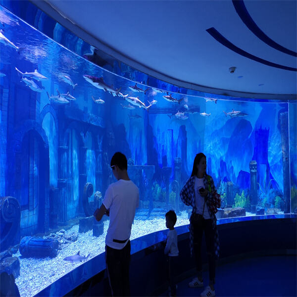 The Ultimate Guide to Maintaining a Large Fish Tank Aquarium for Happy Fish