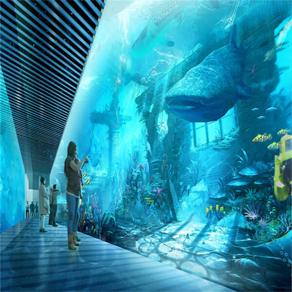 An Underwater Aquarium Experience