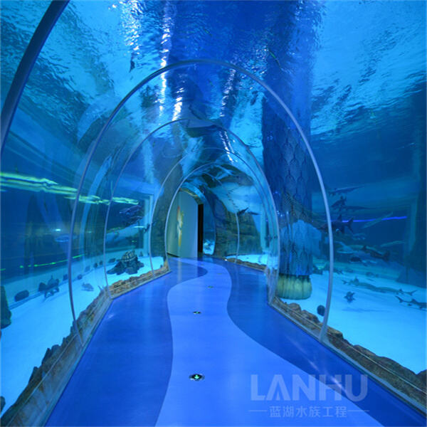 The wonder of a giant fish tank at your fingertips