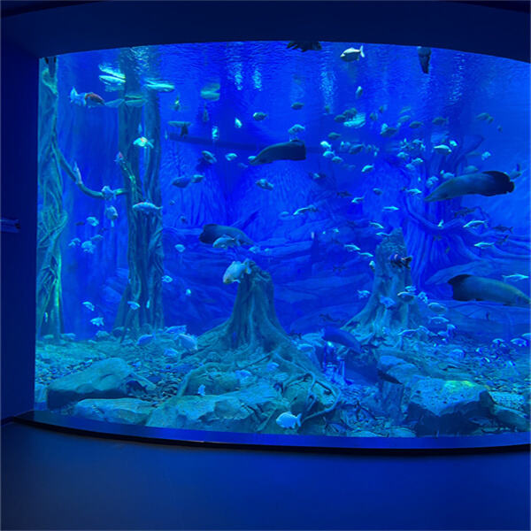 Have you ever used Aquarium Acrylic Sheets before?