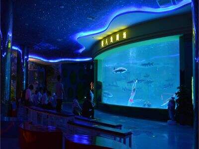 Maintenance schedules to prevent crazing in acrylic aquarium tanks