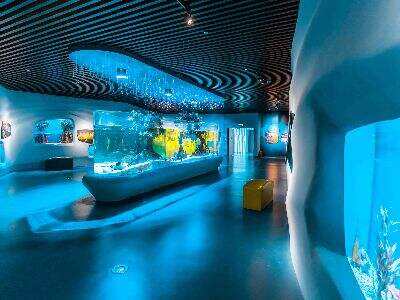 The role of acrylic in building walk-through Aquarium Tunnels