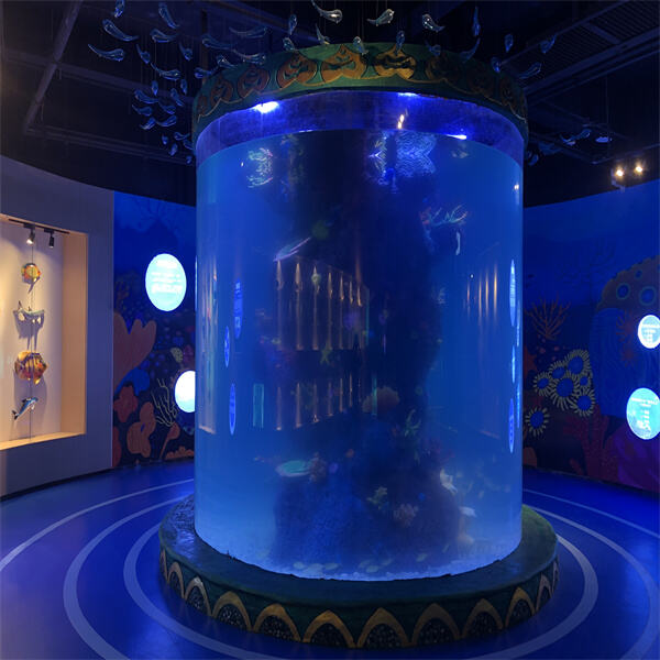 Enhancing Your Way of Aquatic Life through Cylinder Gag Aquarium